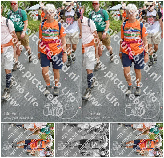 Evenement foto: Nijmeegse Vierdaagse 987