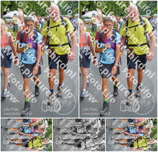 Evenement foto: Nijmeegse Vierdaagse 987