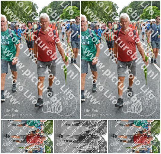 Evenement foto: Nijmeegse Vierdaagse 987