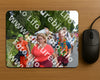 Evenement foto: Nijmeegse Vierdaagse 987