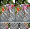 Evenement foto: Nijmeegse Vierdaagse 987
