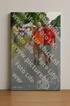 Evenement foto: Nijmeegse Vierdaagse 987