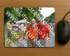 Evenement foto: Nijmeegse Vierdaagse 987