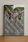 Evenement foto: Nijmeegse Vierdaagse 987