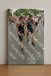 Evenement foto: Nijmeegse Vierdaagse 987