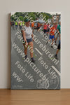 Evenement foto: Nijmeegse Vierdaagse 987
