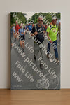 Evenement foto: Nijmeegse Vierdaagse 987