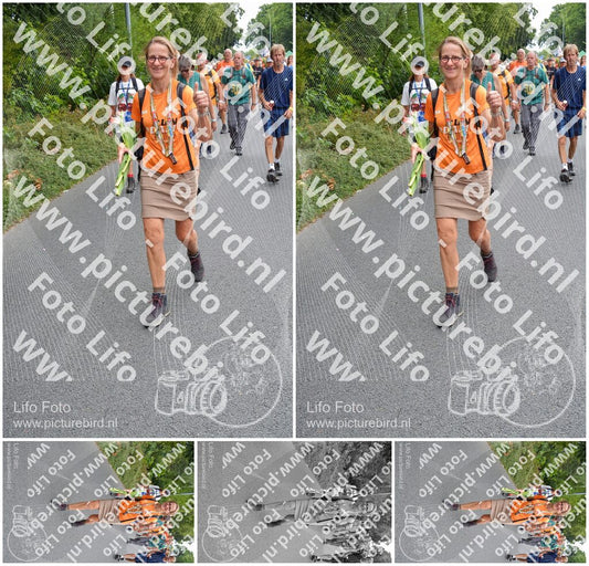 Evenement foto: Nijmeegse Vierdaagse 986