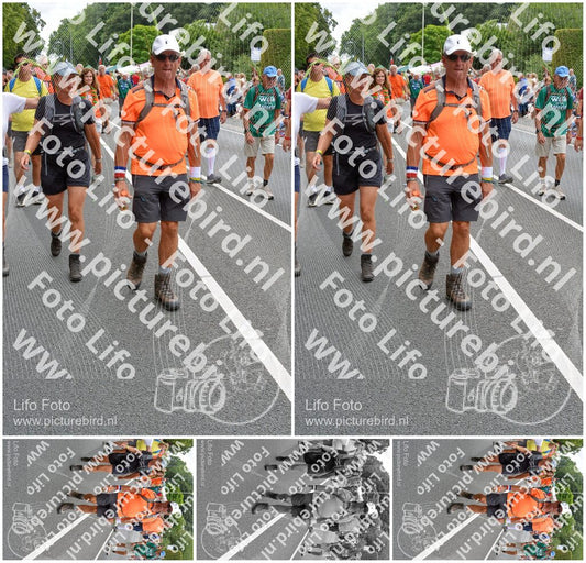 Evenement foto: Nijmeegse Vierdaagse 986