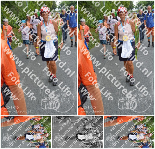 Evenement foto: Nijmeegse Vierdaagse 986