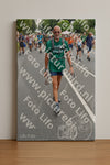 Evenement foto: Nijmeegse Vierdaagse 986