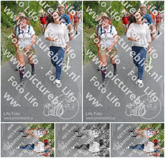 Evenement foto: Nijmeegse Vierdaagse 986
