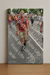 Evenement foto: Nijmeegse Vierdaagse 986