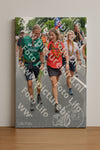 Evenement foto: Nijmeegse Vierdaagse 986