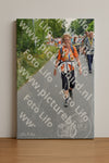 Evenement foto: Nijmeegse Vierdaagse 986