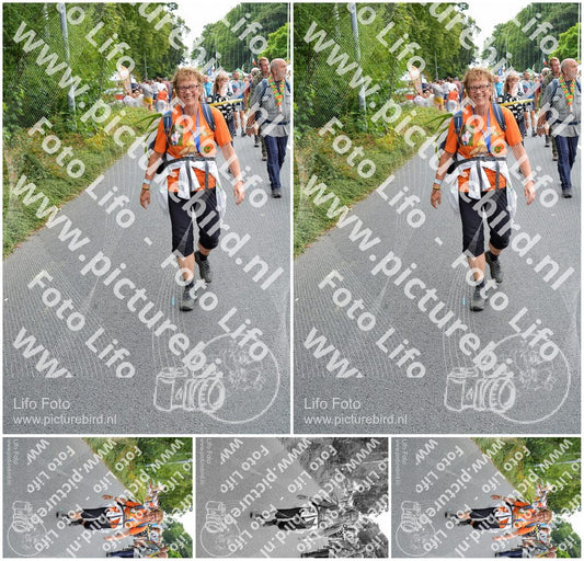 Evenement foto: Nijmeegse Vierdaagse 986