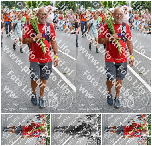 Evenement foto: Nijmeegse Vierdaagse 986