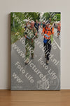 Evenement foto: Nijmeegse Vierdaagse 986