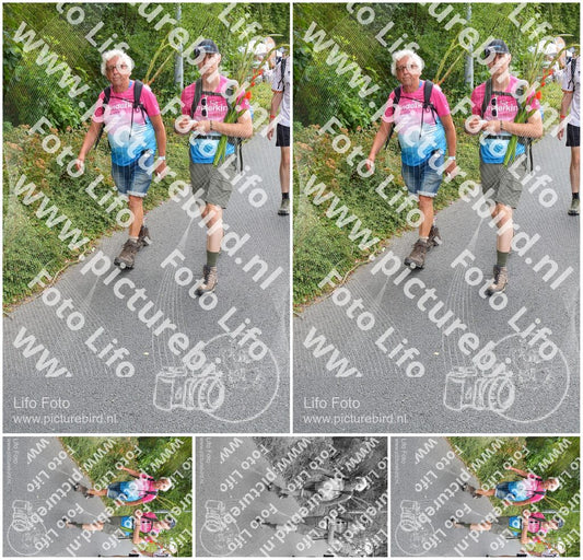 Evenement foto: Nijmeegse Vierdaagse 986