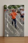 Evenement foto: Nijmeegse Vierdaagse 986
