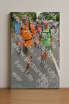 Evenement foto: Nijmeegse Vierdaagse 986