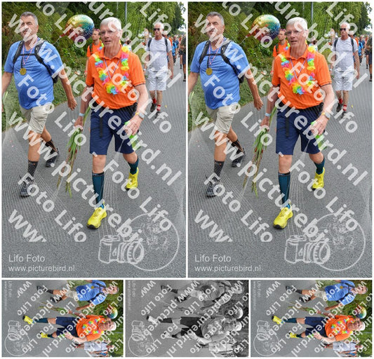 Evenement foto: Nijmeegse Vierdaagse 986
