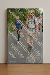 Evenement foto: Nijmeegse Vierdaagse 986