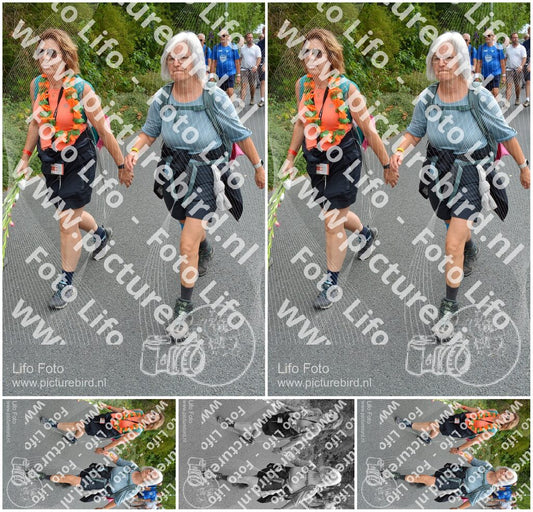 Evenement foto: Nijmeegse Vierdaagse 986
