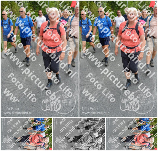 Evenement foto: Nijmeegse Vierdaagse 986