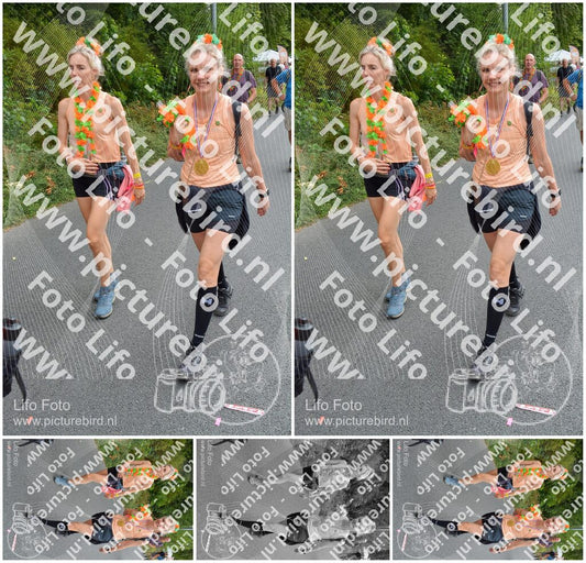 Evenement foto: Nijmeegse Vierdaagse 986