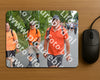 Evenement foto: Nijmeegse Vierdaagse 986