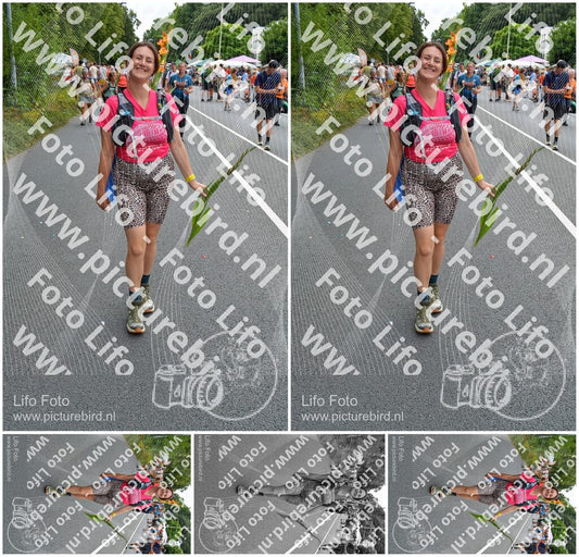 Evenement foto: Nijmeegse Vierdaagse 986