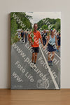 Evenement foto: Nijmeegse Vierdaagse 986
