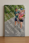 Evenement foto: Nijmeegse Vierdaagse 986
