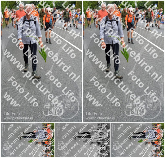 Evenement foto: Nijmeegse Vierdaagse 985
