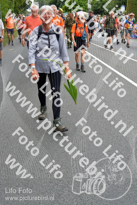 Evenement foto: Nijmeegse Vierdaagse 985