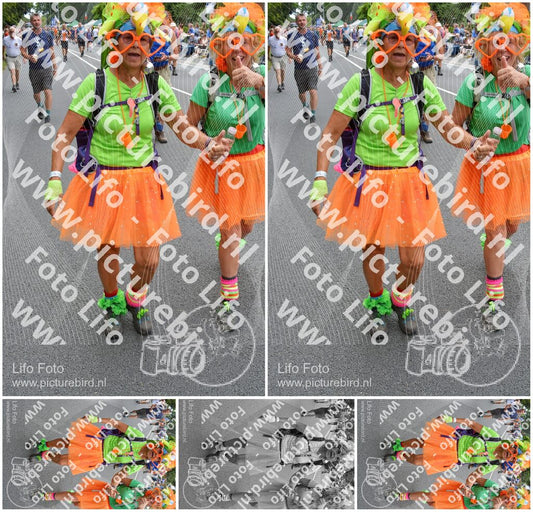 Evenement foto: Nijmeegse Vierdaagse 985