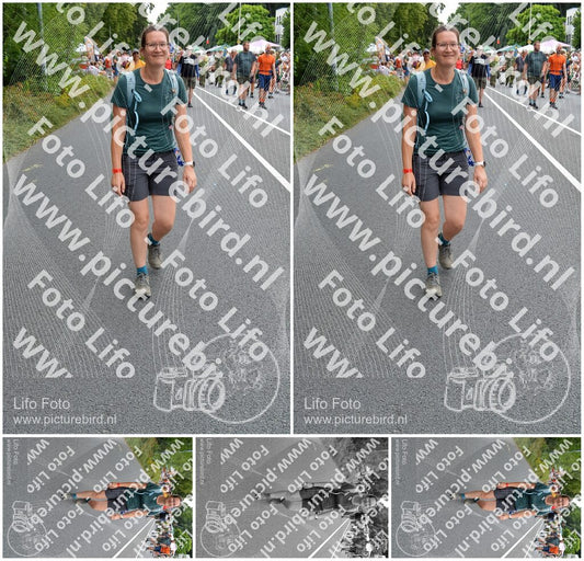 Evenement foto: Nijmeegse Vierdaagse 985