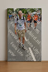 Evenement foto: Nijmeegse Vierdaagse 985