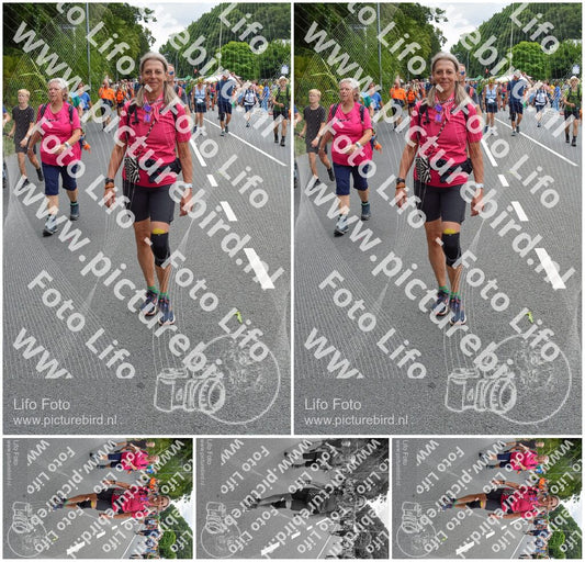 Evenement foto: Nijmeegse Vierdaagse 985