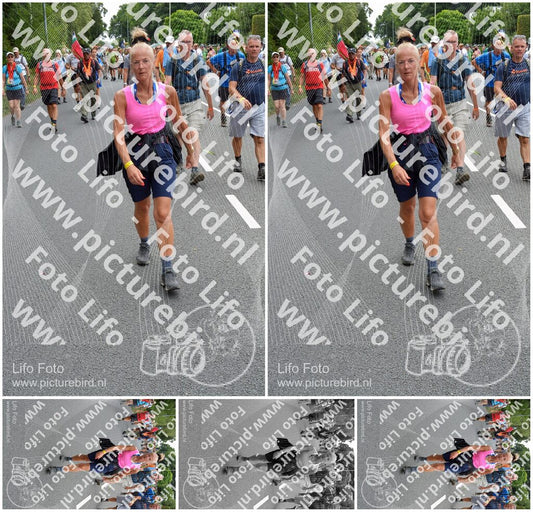 Evenement foto: Nijmeegse Vierdaagse 985
