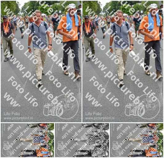Evenement foto: Nijmeegse Vierdaagse 985
