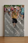 Evenement foto: Nijmeegse Vierdaagse 985