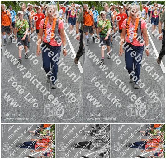 Evenement foto: Nijmeegse Vierdaagse 985