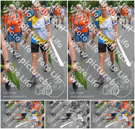Evenement foto: Nijmeegse Vierdaagse 985