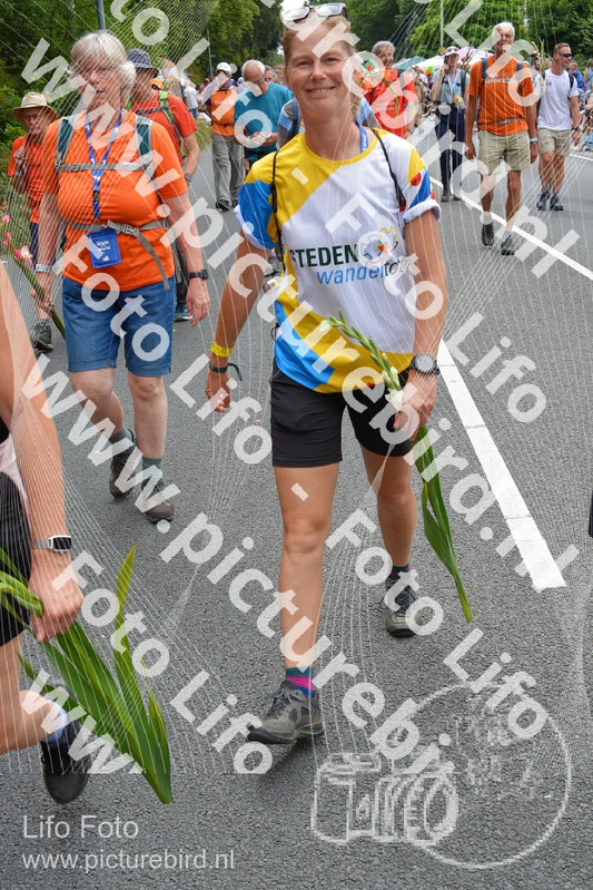 Evenement foto: Nijmeegse Vierdaagse 985