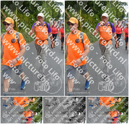 Evenement foto: Nijmeegse Vierdaagse 985