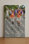 Evenement foto: Nijmeegse Vierdaagse 985