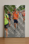 Evenement foto: Nijmeegse Vierdaagse 985