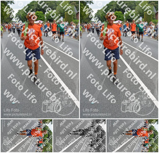 Evenement foto: Nijmeegse Vierdaagse 985